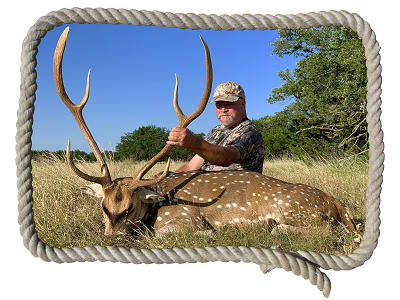 Axis deer hunts in Texas